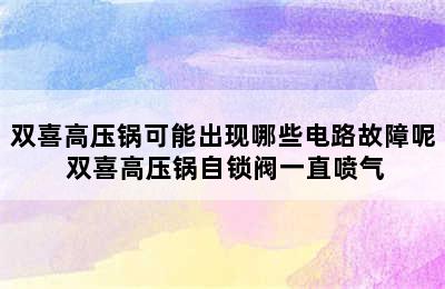 双喜高压锅可能出现哪些电路故障呢 双喜高压锅自锁阀一直喷气